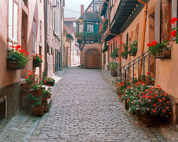Alsace Alley
