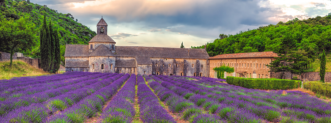 S�nanque Abbey - Provence, France