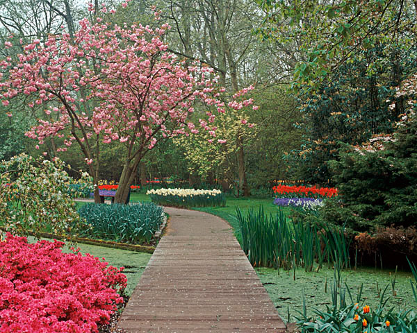 Spring Walk - Holland