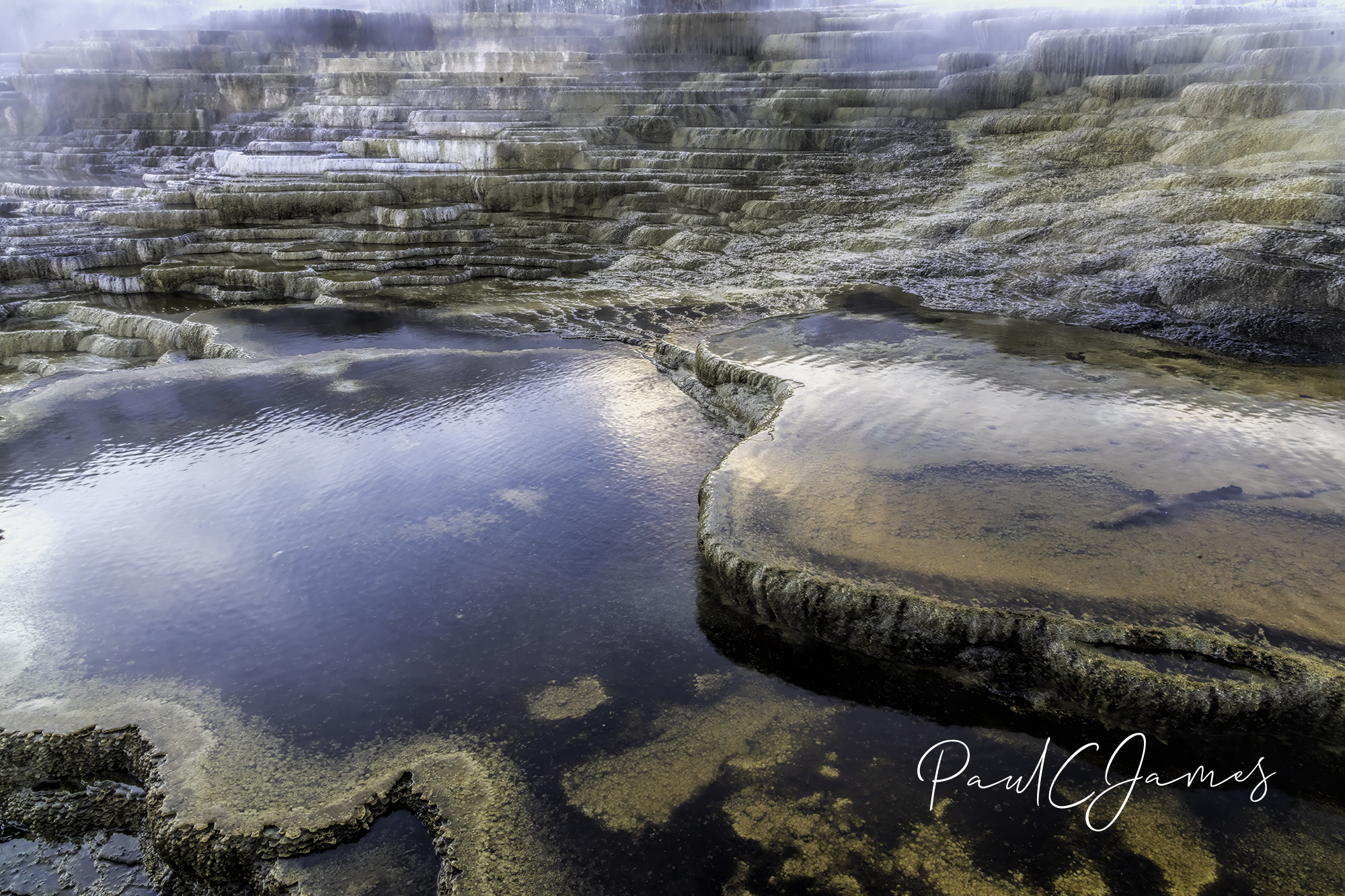 Grand Tetons Mammoth Hot Springs Fall Photography Workshop