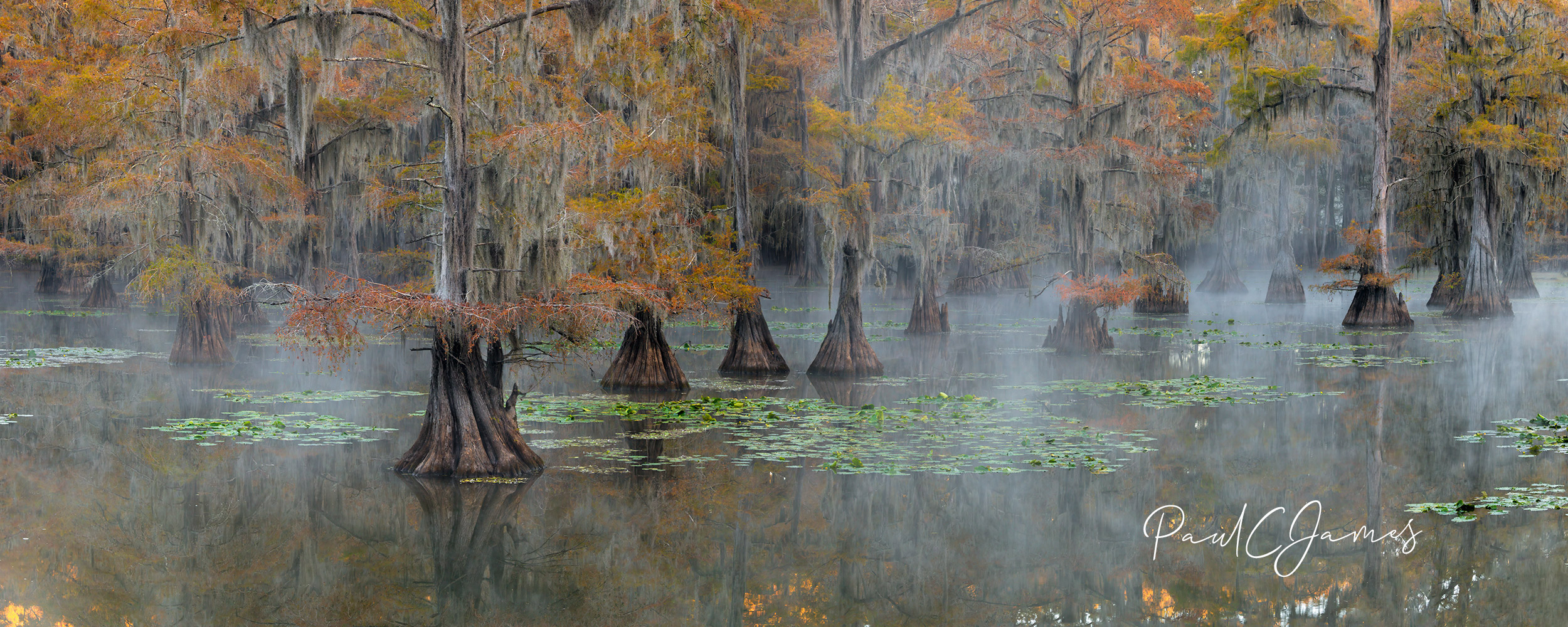 Caddo Lake Colors Photography Workshop